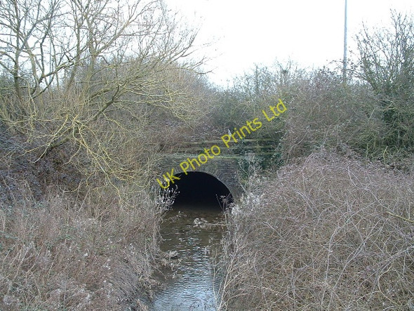 Photo 6"x4" Rather overgrown Folly Bridge over Folly Brook Blackhorse\/ST6677 c2006