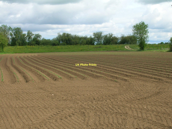 Photo 6"x4" Farmland north off Ings Lane Kelfield\/SE5938 c2011