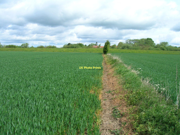 Photo 6"x4" Field boundary north of Ings Lane Kelfield\/SE5938 c2011