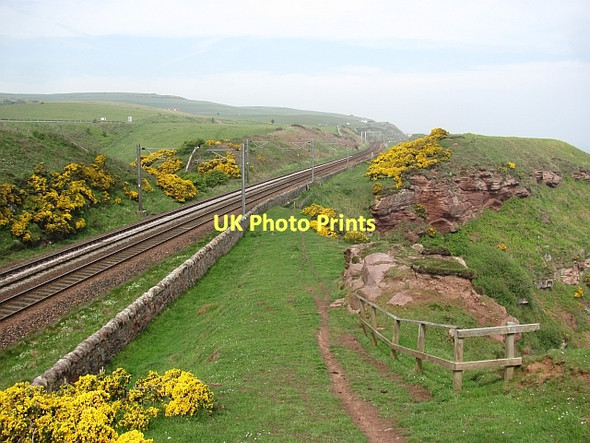 Photo 6"x4" Berwickshire Coast Path Marshall Meadows c2011