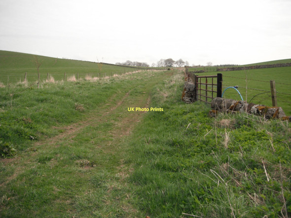 Photo 6"x4" Track near Lundie Lundie\/NO2936 c2011