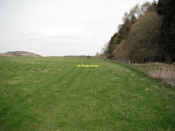 Photo 6"x4" Track leading to Burnside Quarry Newtyle\/NO2941 c2011