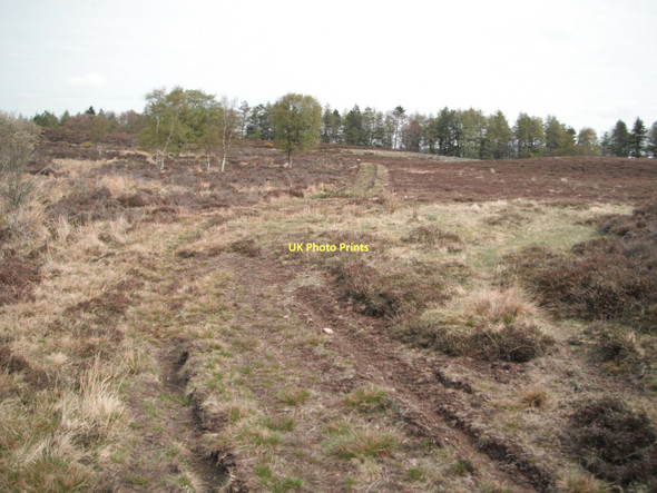 Photo 6"x4" Track towards Burnside Quarry Newtyle\/NO2941 c2011