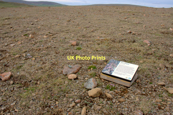 Photo 6"x4" Plant marker on the Keen of Hamar NNR Baltasound c2011