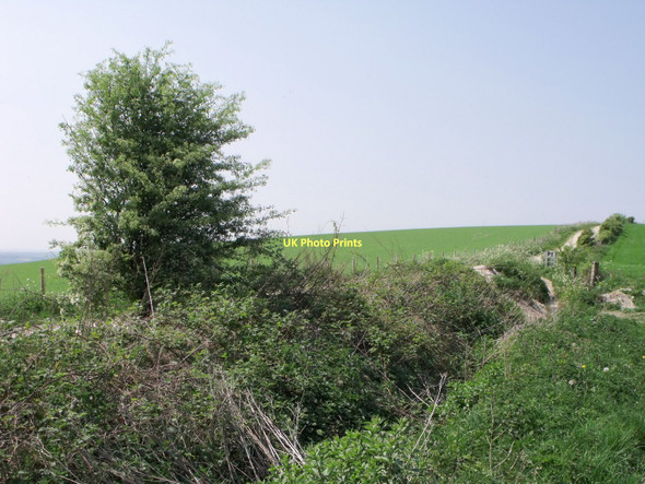 Photo 6"x4" South Downs Way at Springhead Hill near Storrington Cootham c2011