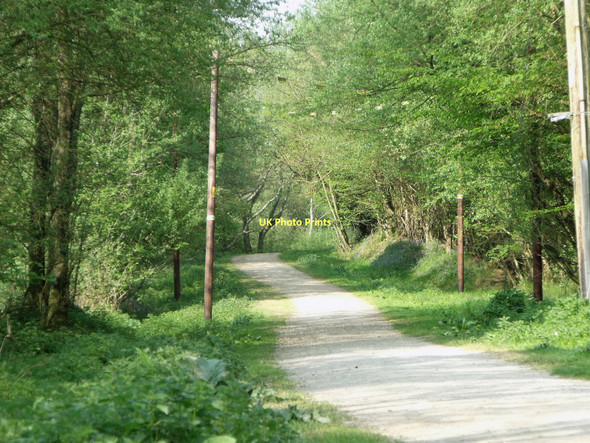 Photo 6"x4" Public Bridleway at Cackle Street, East Sussex Cackle Street\/TQ6919 c2011
