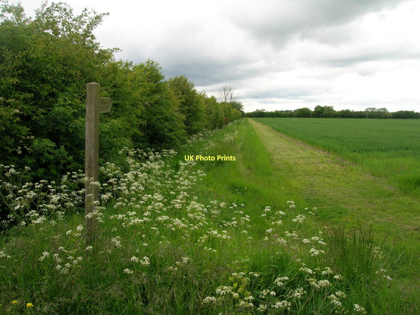 Photo 6"x4" Footpath off Fenton Lane Church Fenton c2011
