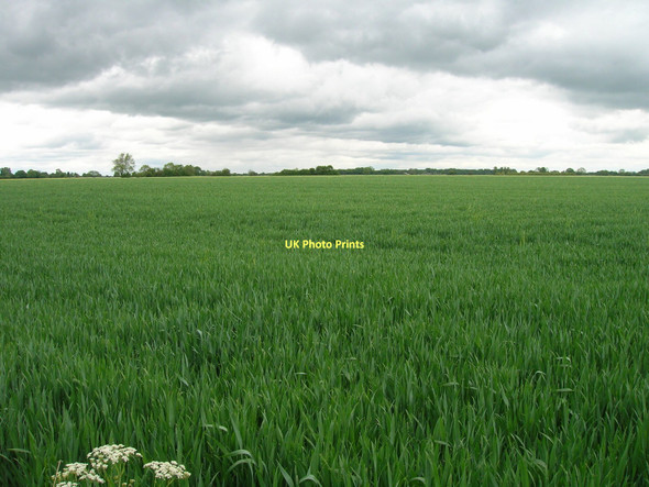 Photo 6"x4" Farmland, Little Fenton Little Fenton c2011
