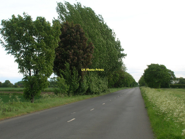 Photo 6"x4" Long Lane  West End\/SE5835 c2011