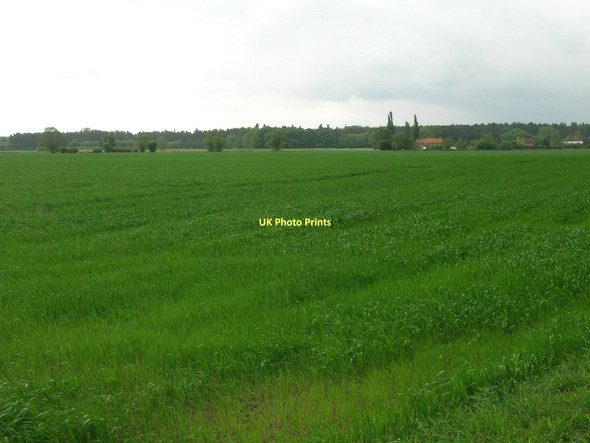 Photo 6"x4" Farmland off Broad Lane Biggin\/SE5434 c2011