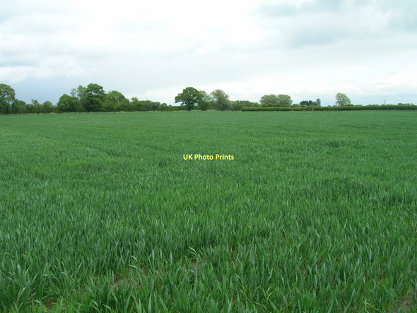 Photo 6"x4" Farmland south of Cawood Cawood c2011