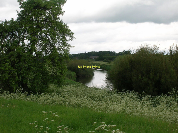 Photo 6"x4" River Wharfe, Ryther Nun Appleton c2011