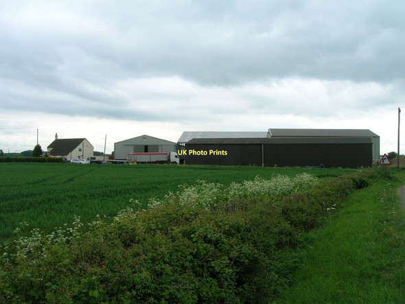 Photo 6"x4" Violet Hill Farm Nun Appleton c2011