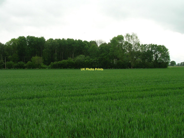 Photo 6"x4" Paradise Wood Church Fenton c2011