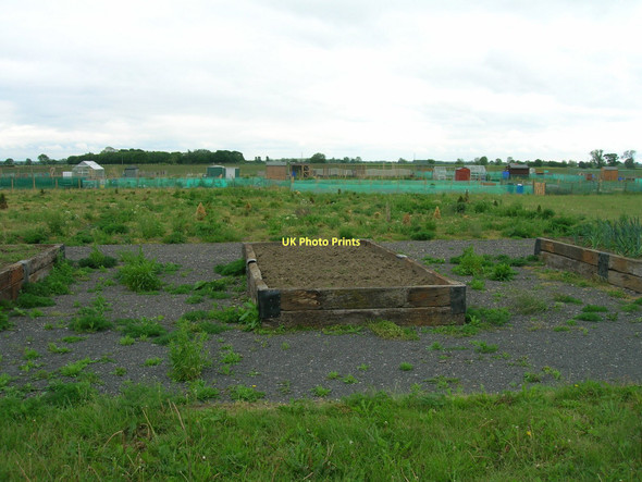 Photo 6"x4" Allotments, Church Fenton Church Fenton c2011