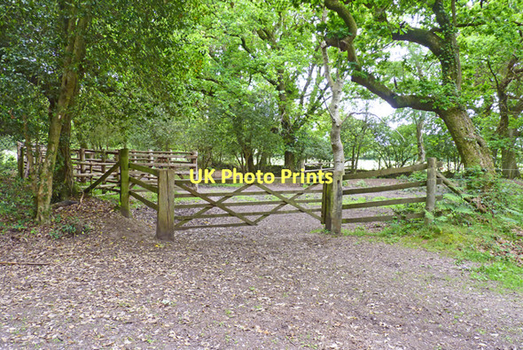 Photo 6"x4" Gate Controlling Access to Norley Inclosure Norleywood c2011