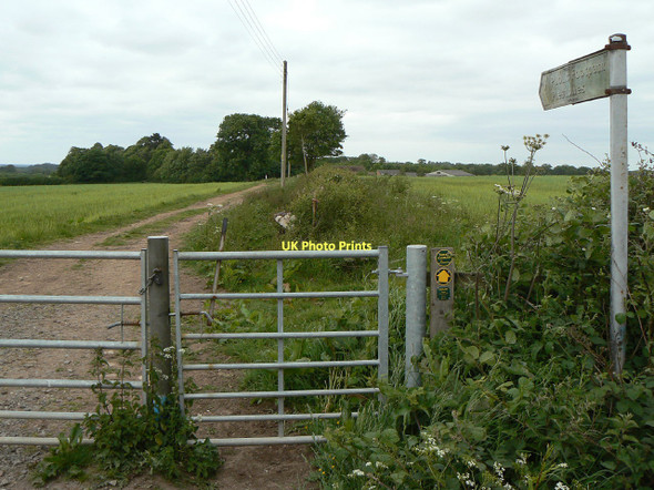 Photo 6"x4" Footpath off Wasperton Lane Newbold Pacey c2011