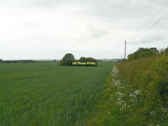 Photo 6"x4" Fields near Wasperton Lane Newbold Pacey c2011