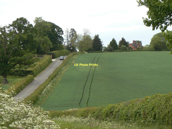 Photo 6"x4" Parallel lines Over Green c2011