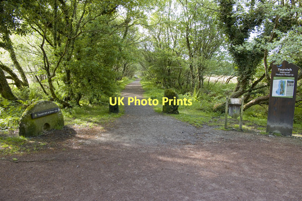 Photo 6"x4" Footpath to Taynish Mill Tayvullin c2011