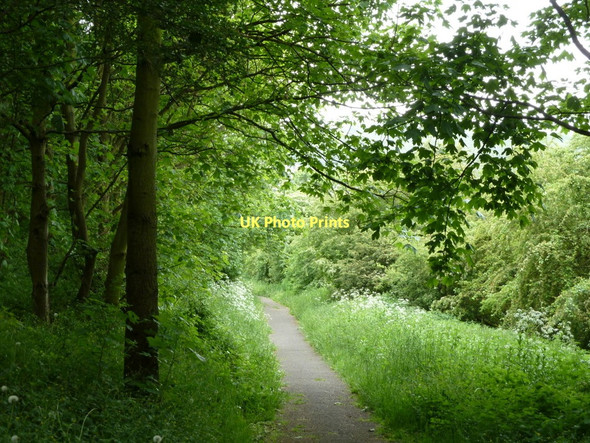Photo 6"x4" Footpath to Doe Lea by the A617 Doe Lea c2011