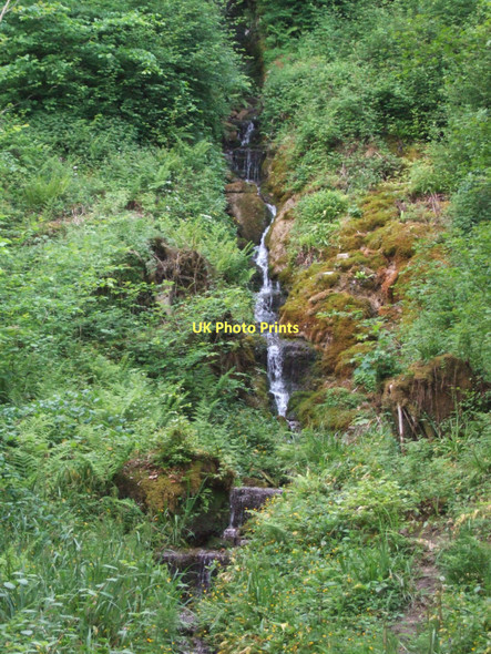 Photo 6"x4" Hackfall Woods - Forty Foot Fall Grewelthorpe c2011