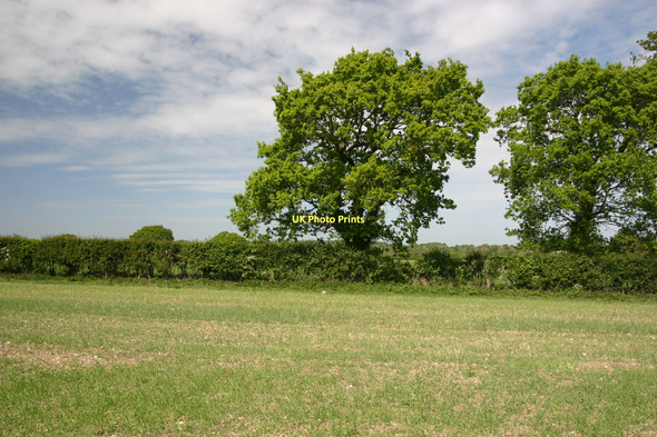 Photo 6"x4" Greenwich Meridian SW of Copyhold Farm Cooksbridge c2011