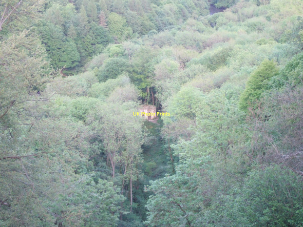 Photo 6"x4" Hackfall Woods - looking down on Fisher's Hall Grewelthorpe c2011