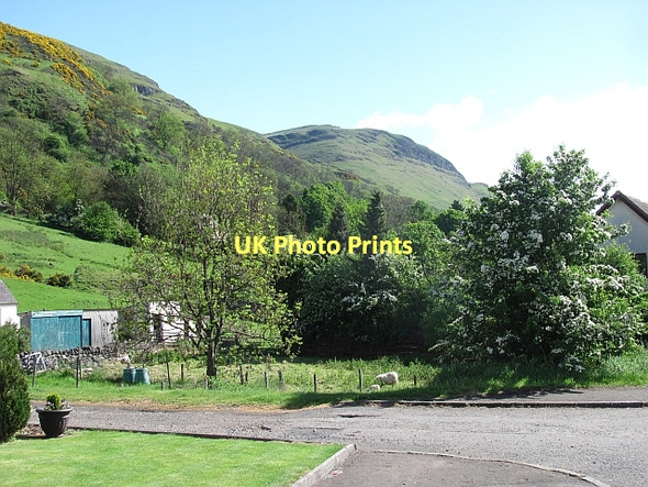 Photo 6"x4" Field, Long Row Menstrie c2011