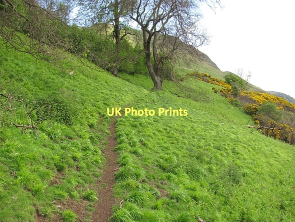Photo 6"x4" Path on Myreton Hill Alva c2011