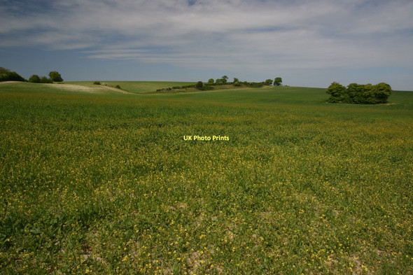 Photo 6"x4" Greenwich Meridian north of the Drove Lewes c2011