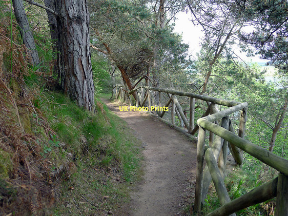 Photo 6"x4" Footpath up South Sutor Cromarty\/NH7867 c2011