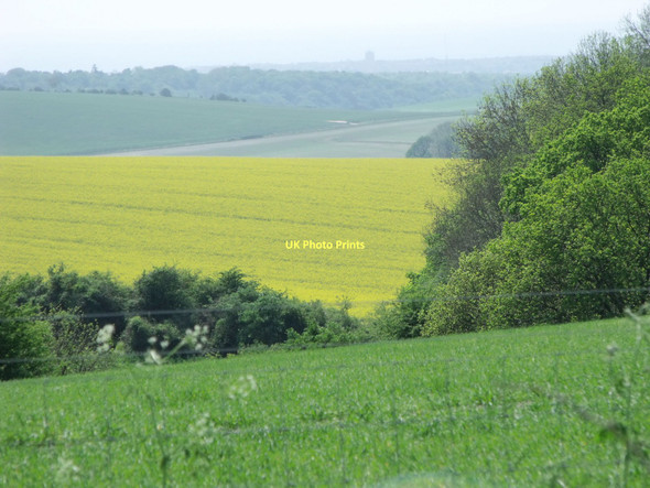 Photo 6"x4" South Downs near Springhead Hill Cootham c2011