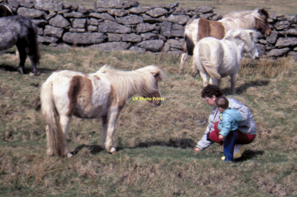Photo 6"x4" Dartmoor - 1987 Two Bridges\/SX6075 c1987 P1