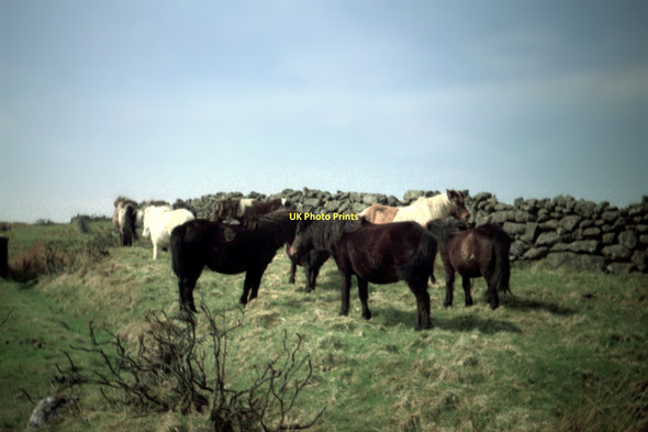 Photo 6"x4" Dartmoor - 1987 Two Bridges\/SX6075 c1987 P2