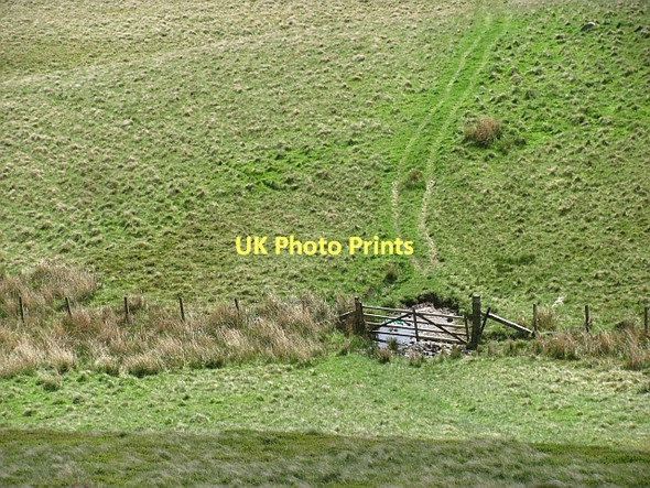 Photo 6"x4" Gate on Colsnaur Hill Menstrie c2011