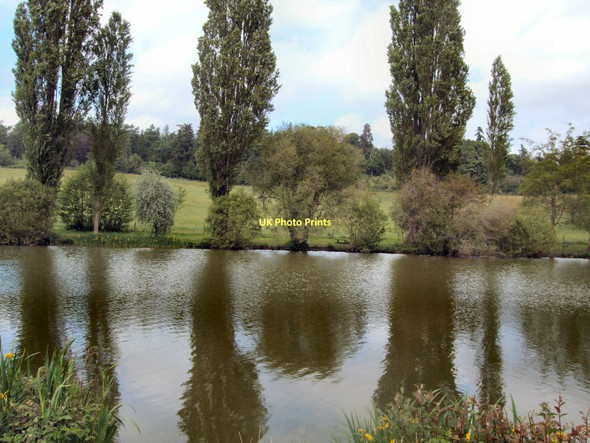 Photo 6"x4" The Lake - Loseley Park Guildford c2011