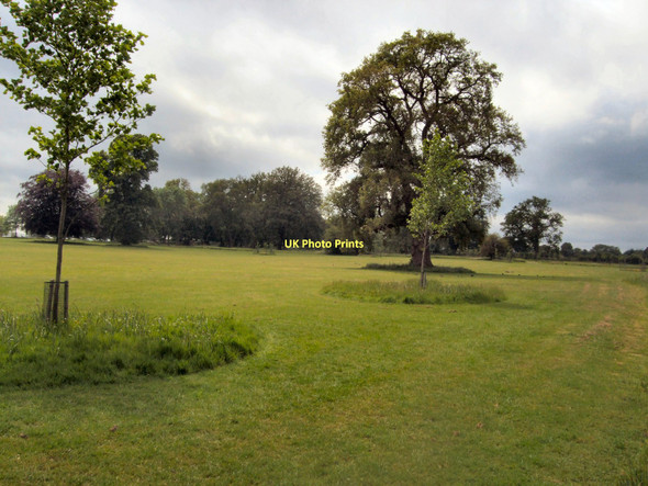 Photo 6"x4" Loseley Park Guildford c2011