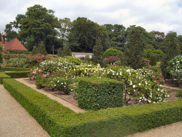 Photo 6"x4" Walled Garden - Loseley Park Guildford c2011 P1