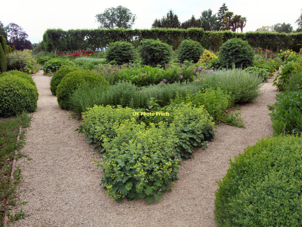 Photo 6"x4" Walled Garden - Loseley Park Guildford c2011