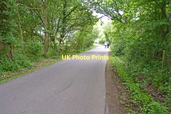 Photo 6"x4" Road at Norleywood East End\/SZ3697 c2011