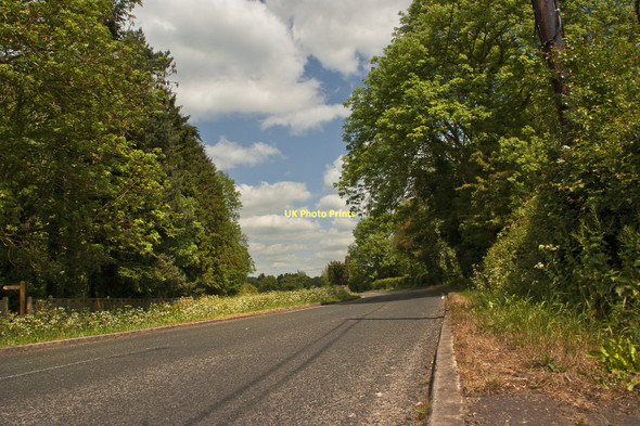 Photo 6"x4" Titsey Road Titsey c2011