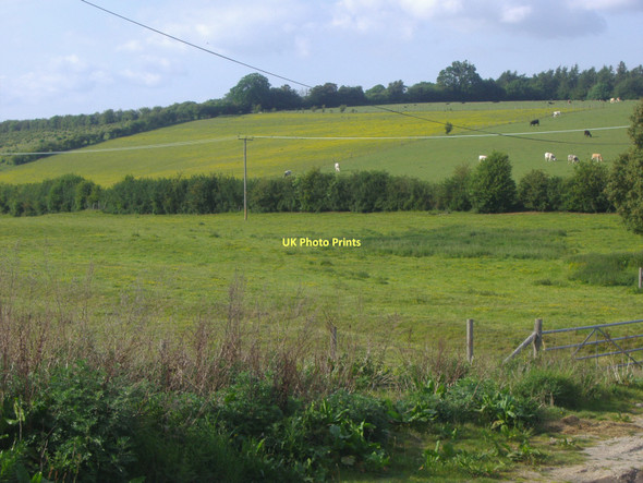 Photo 6"x4" Fields by Fourways Farm, Great Gaddesden Great Gaddesden c2011