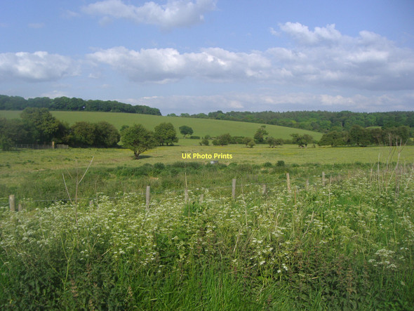 Photo 6"x4" Fields by Dagnall Road Great Gaddesden Great Gaddesden c2011
