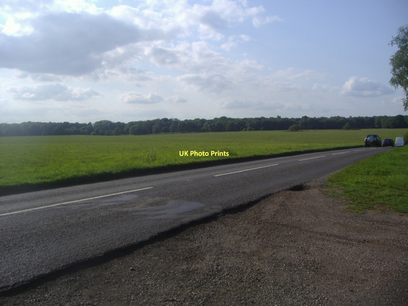 Photo 6"x4" New Road on Northchurch Common Berkhamsted c2011