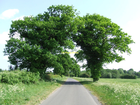 Photo 6"x4" Griston Road Pockthorpe\/TL9196 c2011