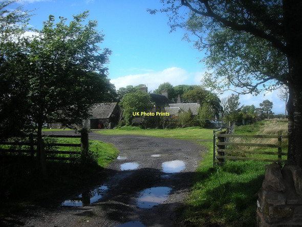 Photo 6"x4" Harperstone Farm Greenloaning\/NN8307 c2009