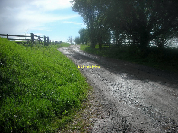 Photo 6"x4" Farm Track Greenloaning\/NN8307 c2009