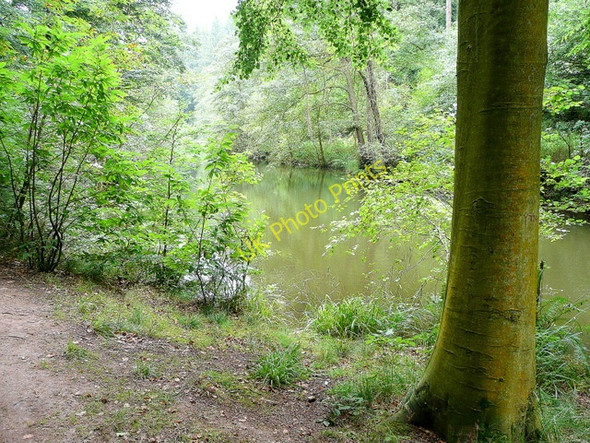 Photo 6"x4" Soudley Lower Pond 1 Grange Village c2009