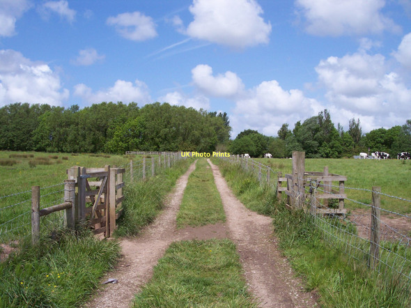 Photo 6"x4" Footpath crosses farm track near Burscough Hall Farm Burscough c2011
